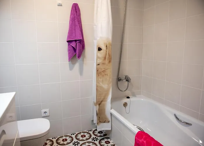 Appartement Hauzify I Missé